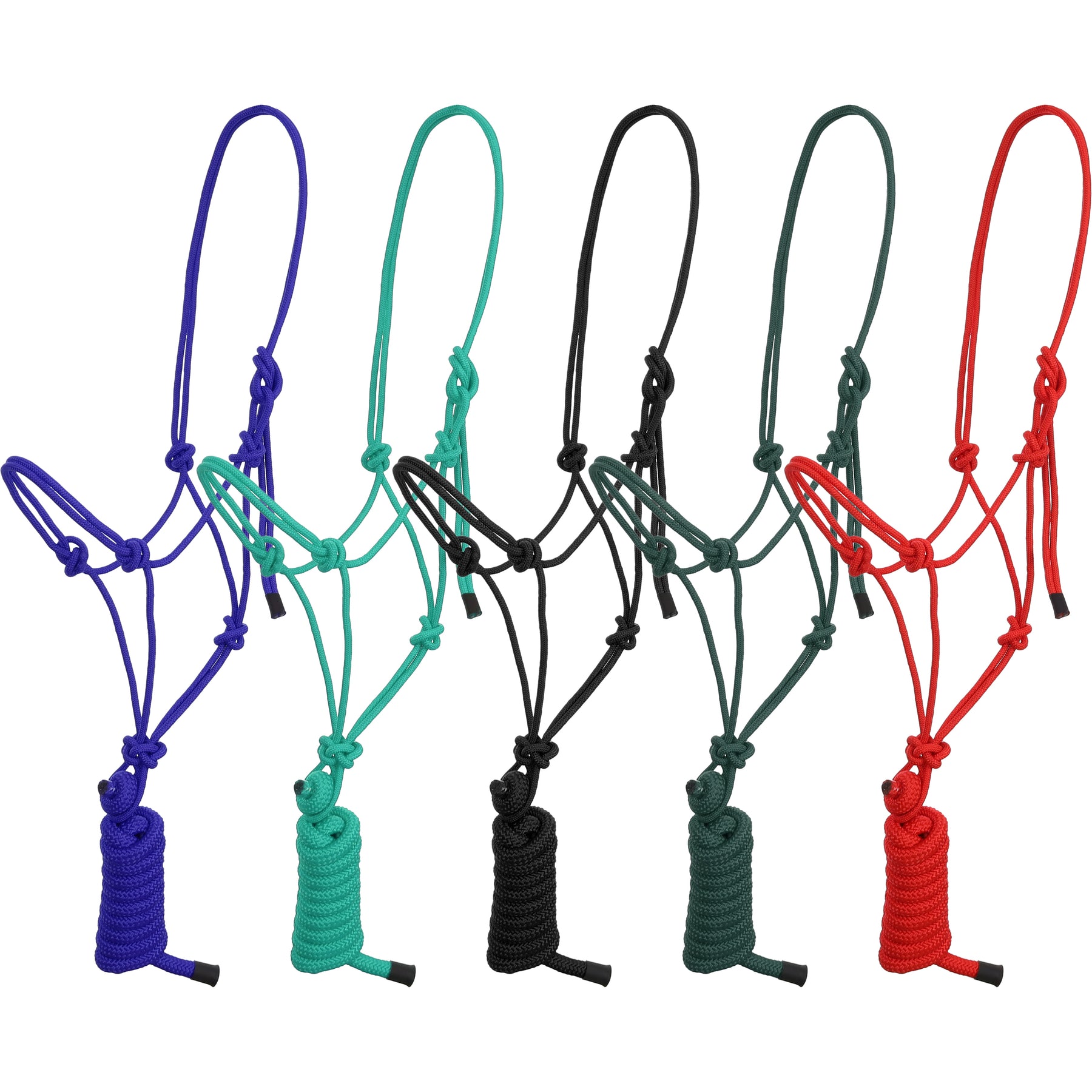 Showman Assorted Cowboy Knot Halter with 8 Ft Lead