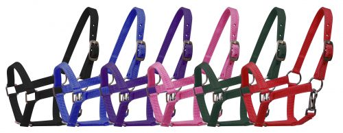 Pony Size Nylon halter with nickel plated hardware and throat latch