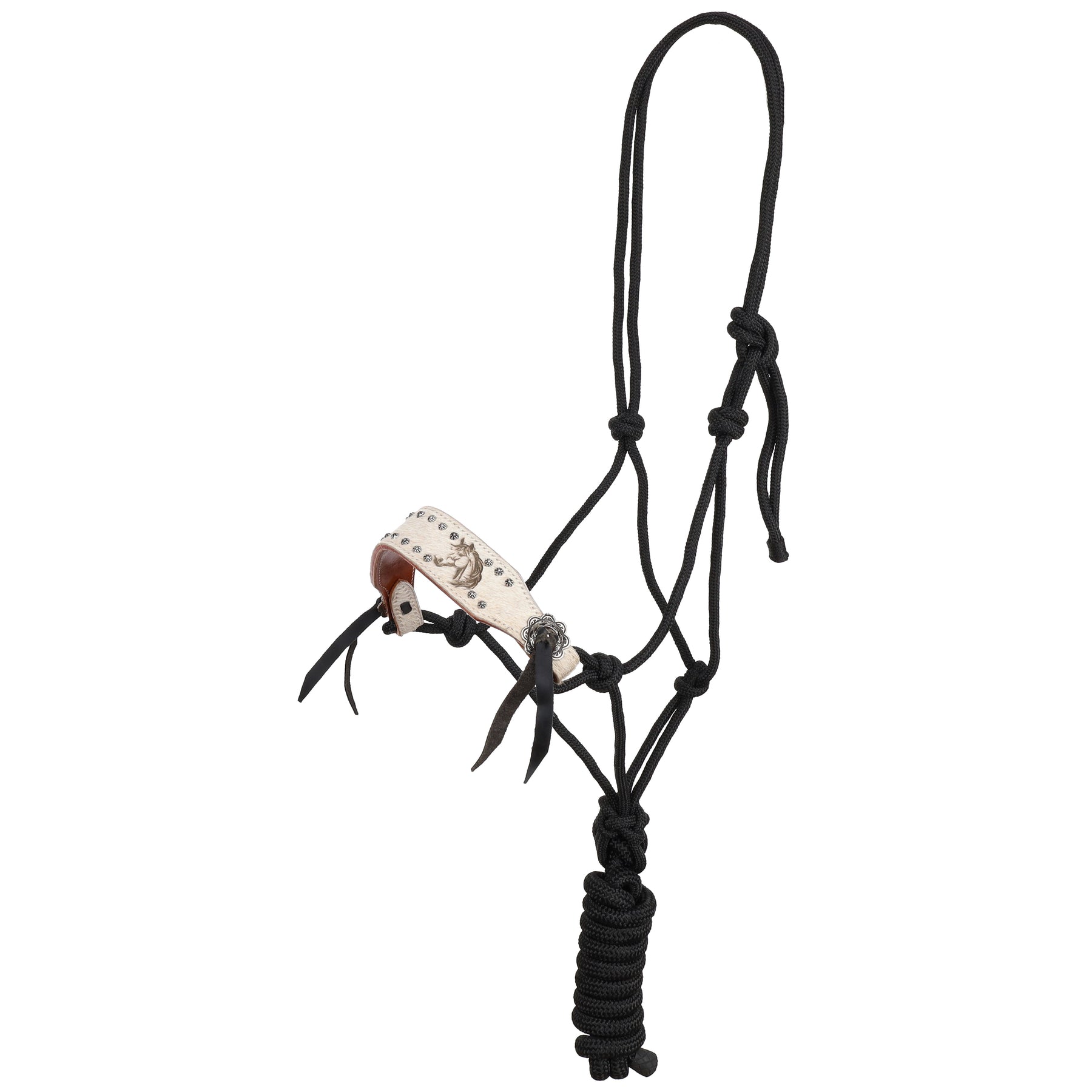Showman Horse Haven Cowboy Knot Halter with Lead