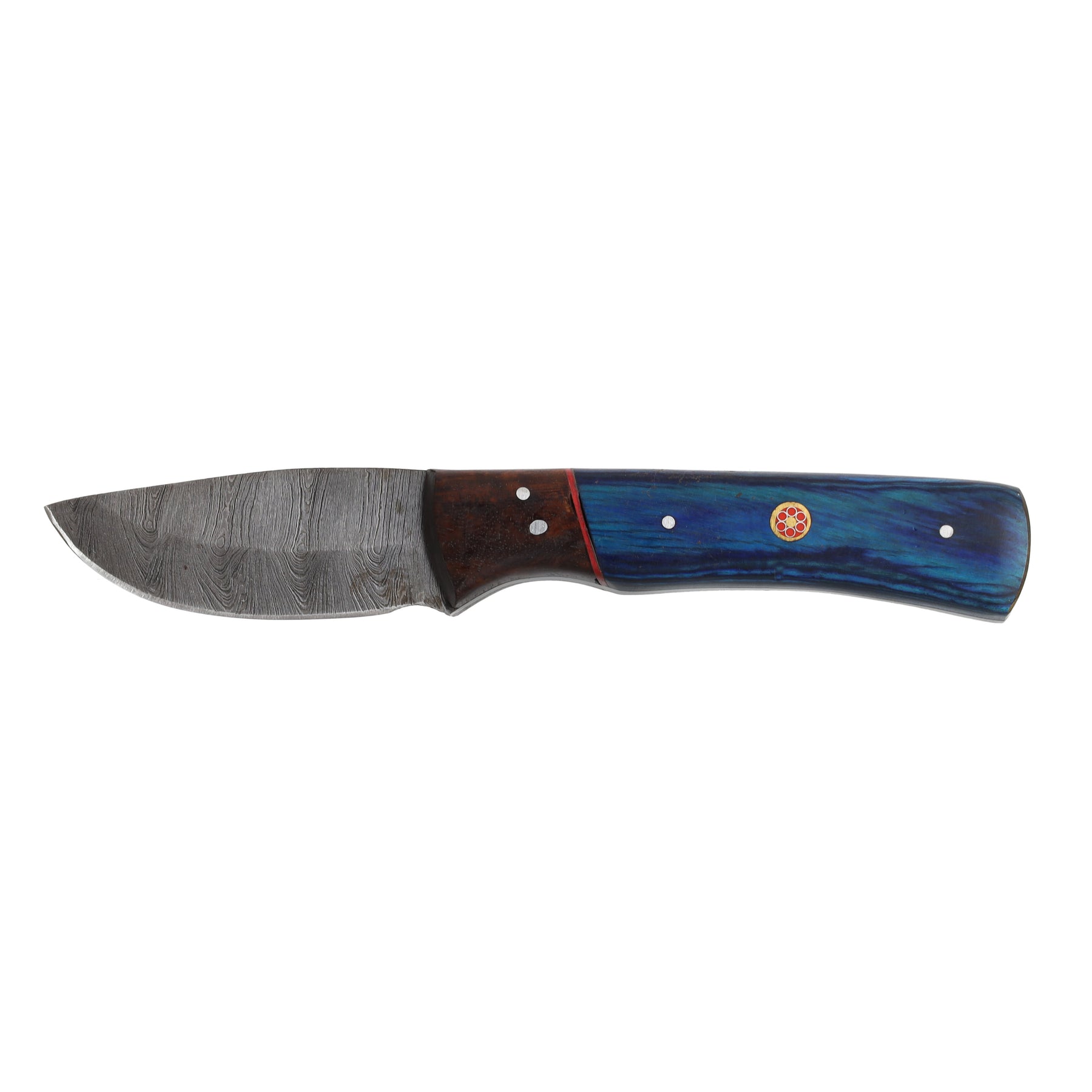Lariat High Ridge - Hand-Forged Damascus Skinning Knife with Blue & Brown Wood Handle