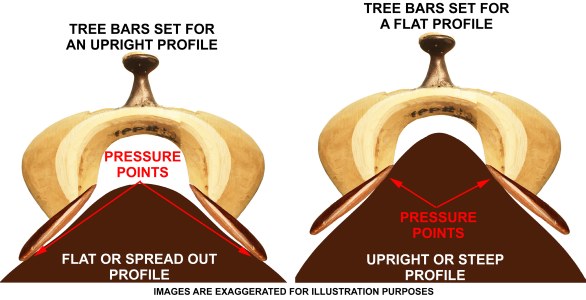 What Are Horse Saddle Bars?