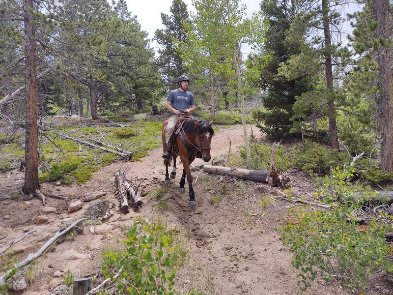 Buying Tack & Supplies For Your First Horse