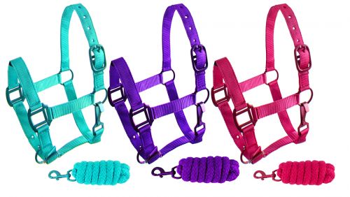 Showman Pony triple ply nylon halter and lead rope with matching powder coated hardware