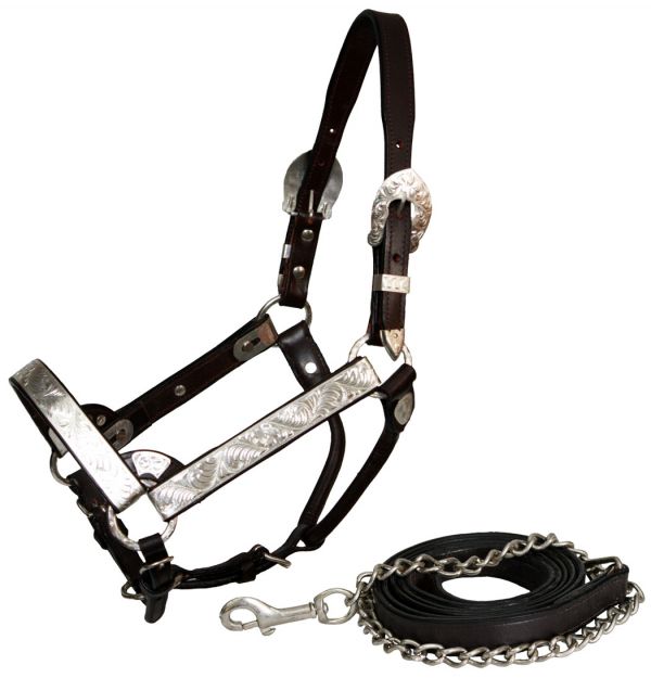 Showman horse size silver engraved show halter with matching lead