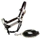 Showman leather horse size engraved silver show halter