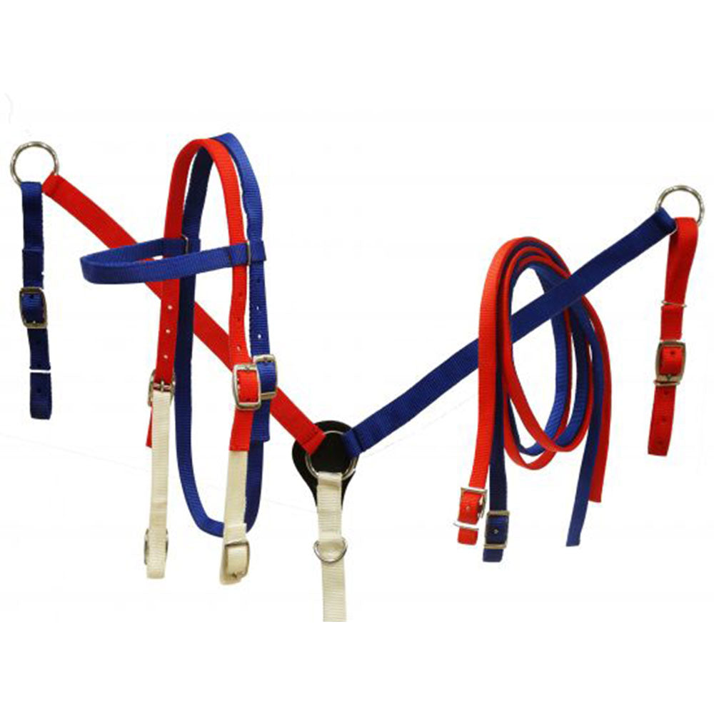 Showman Red, white and blue nylon headstall and breast collar set