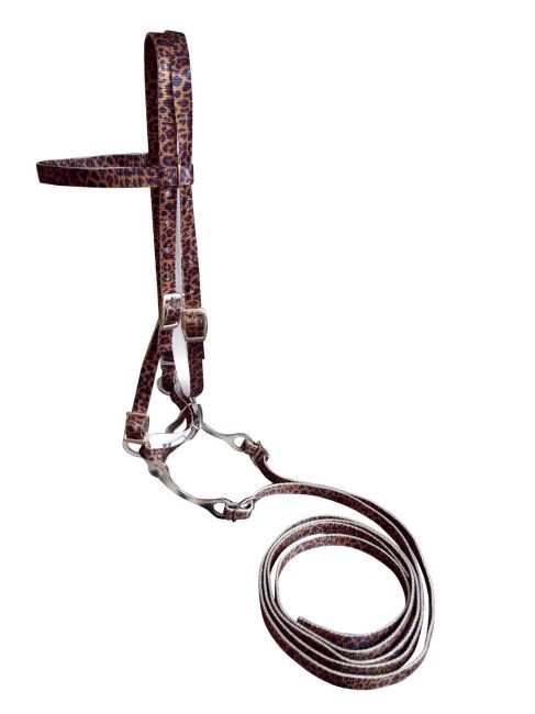 Showman Horse size Premium nylon browband headstall & Reins with bit in a Cheetah print design