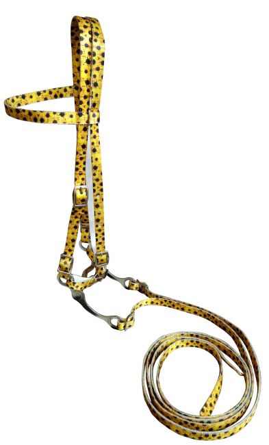 Showman Horse size Premium nylon browband headstall  Reins with bit in a Sunflower print design