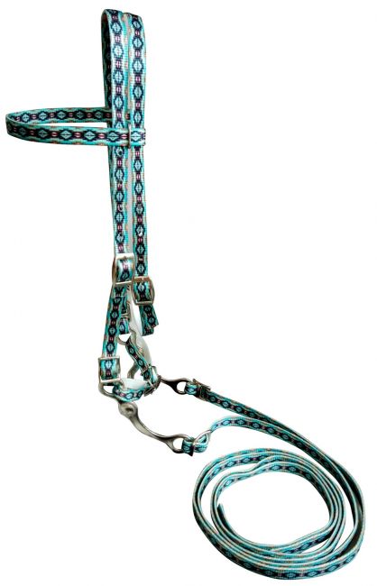 Showman Horse size Premium nylon browband headstall  Reins with bit in a Teal Southwest print design