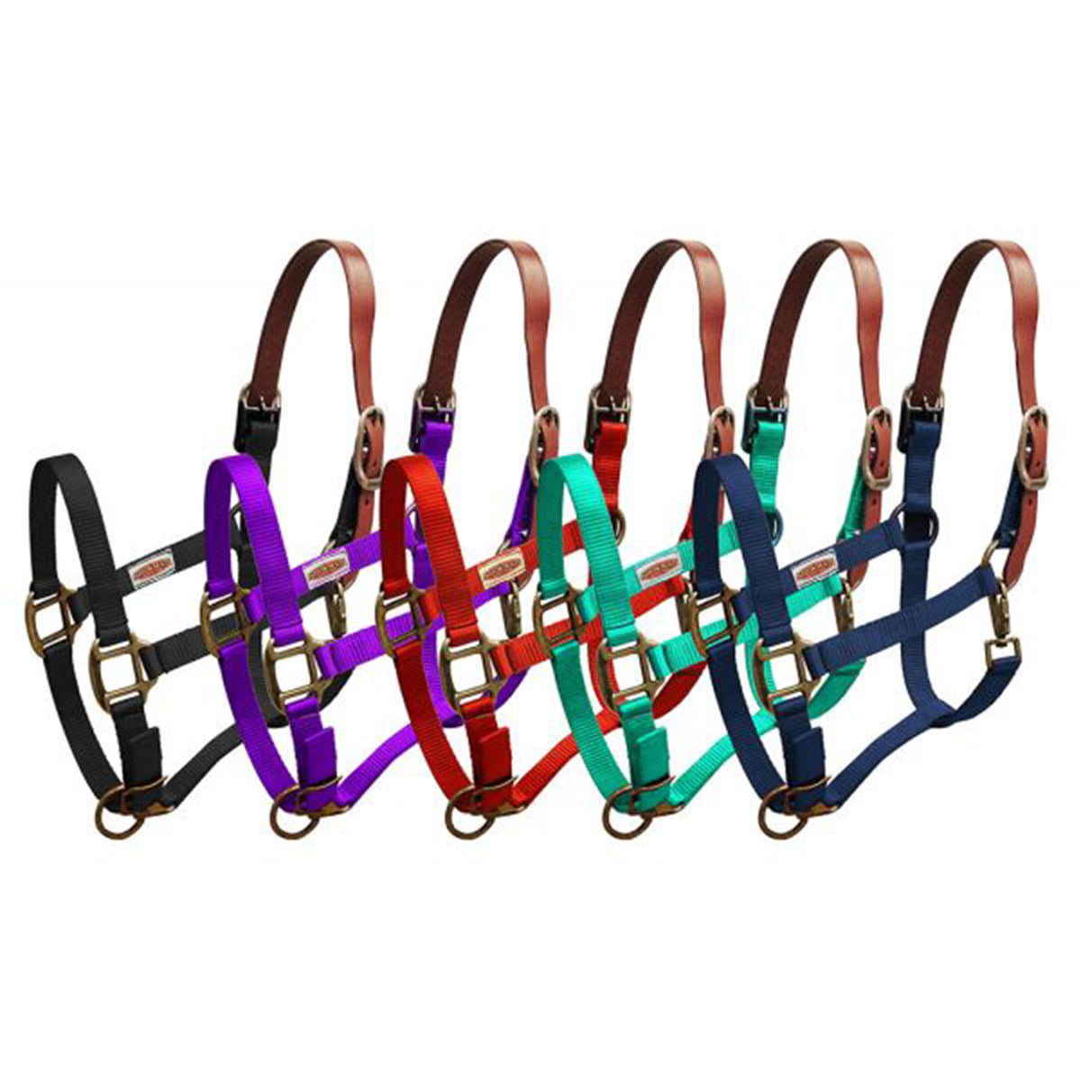 Showman Premium Nylon Breakaway Halter