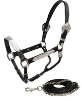 Showman Average Horse Dark leather show halter with lead