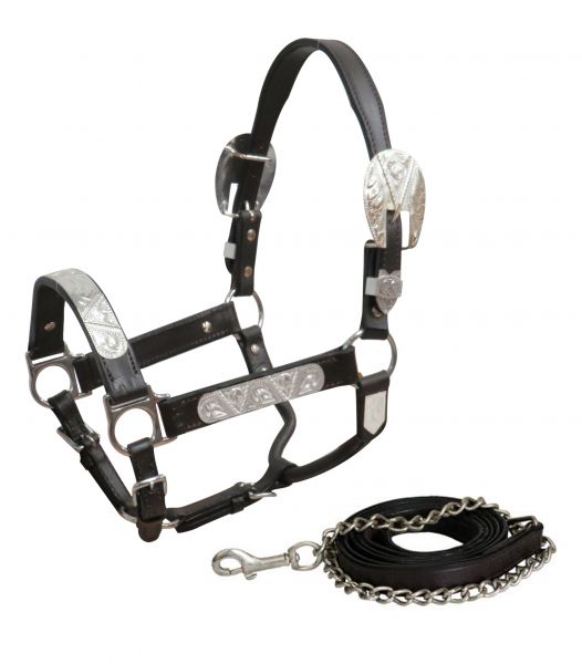 Showman Yearling/Small Horse Dark leather show halter with lead