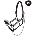 Showman Silver Floral Leather Show Halter with Lead - Average
