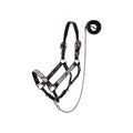 Showman Silver & Black Scroll Leather Show Halter with Lead - Mini