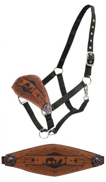 Showman Praying cowboy bronc nose halter