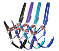 Showman Nylon Halter with Leather Accents and Lead