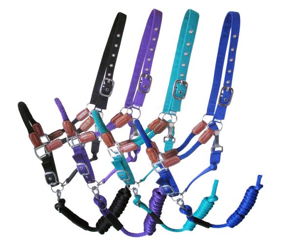 Showman Nylon Halter with Leather Accents and Lead