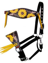 Showman Adjustable nylon bronc halter with sunflower hand painted nose band