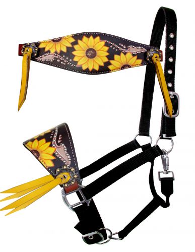 Showman Adjustable nylon bronc halter with sunflower hand painted nose band