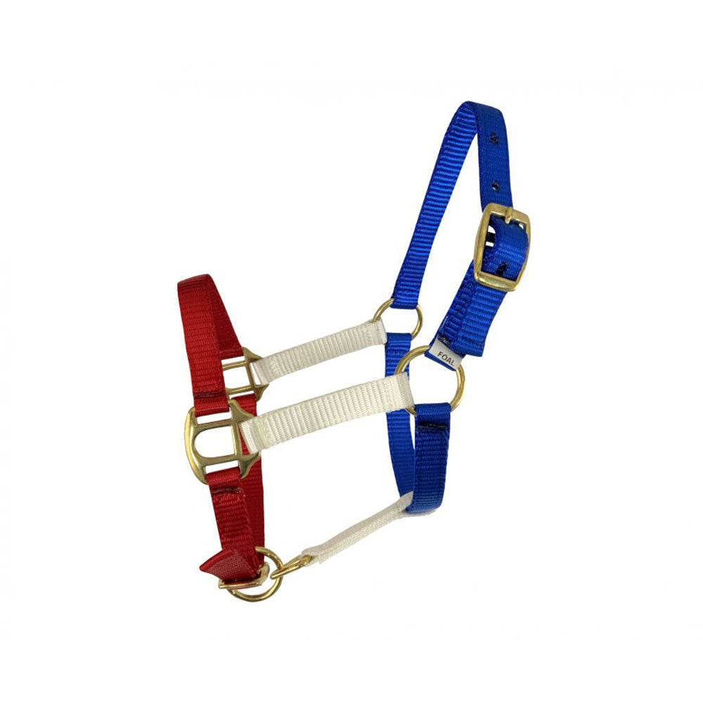 Showman Red, White, and Blue nylon halter with brass hardware