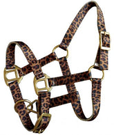 Showman Premium nylon cheetah halter with brass hardware