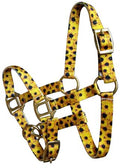 Showman Premium nylon Sunflower Print halter with brass hardware