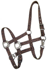 Showman Premium Nylon Horse Sized Halter with cheetah design