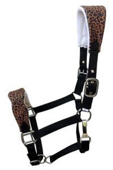 Showman Adjustable black nylon bronc halter with a padded cheetah noseband and crown