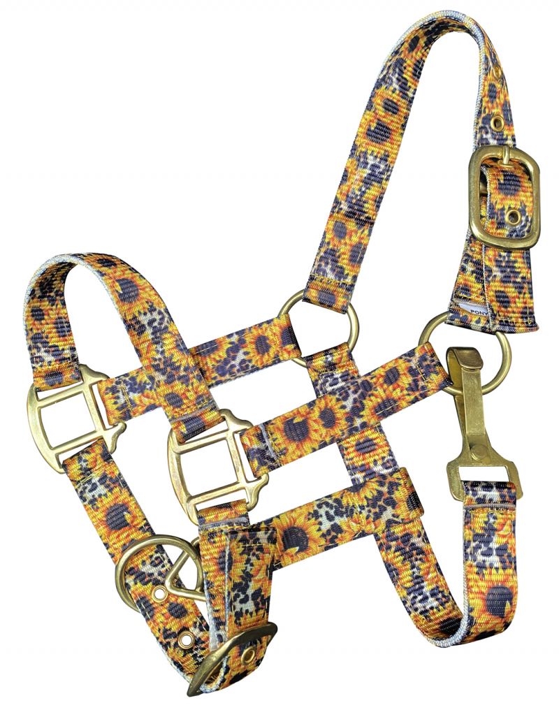 Showman Premium sunflower & cheetah print nylon halter with brass hardware