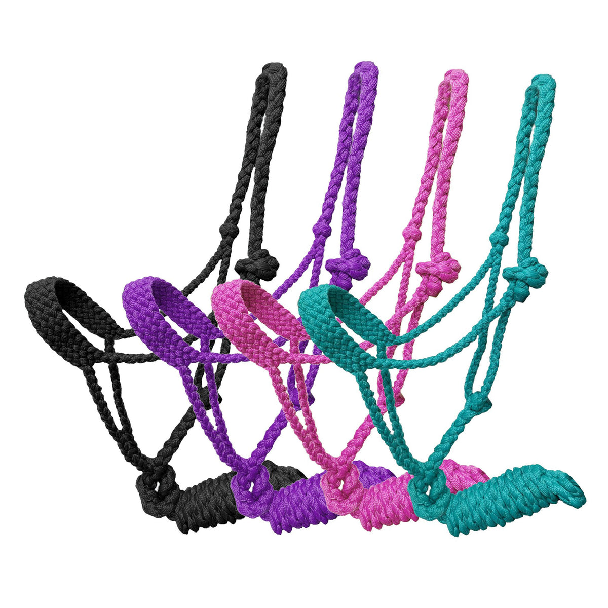 Showman Braided Mule Tape Pony Halter