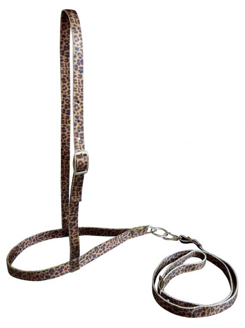 Showman Premium nylon noseband and tiedown with Cheetah Print