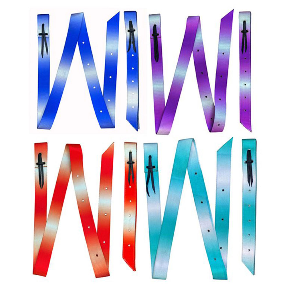 Showman Premium Quality Ombre Nylon Tie Strap and Off Billet Set