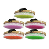 Soft Bristle Oval English Brush - Color Pack of 10