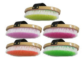 Color pack of 10 English brush