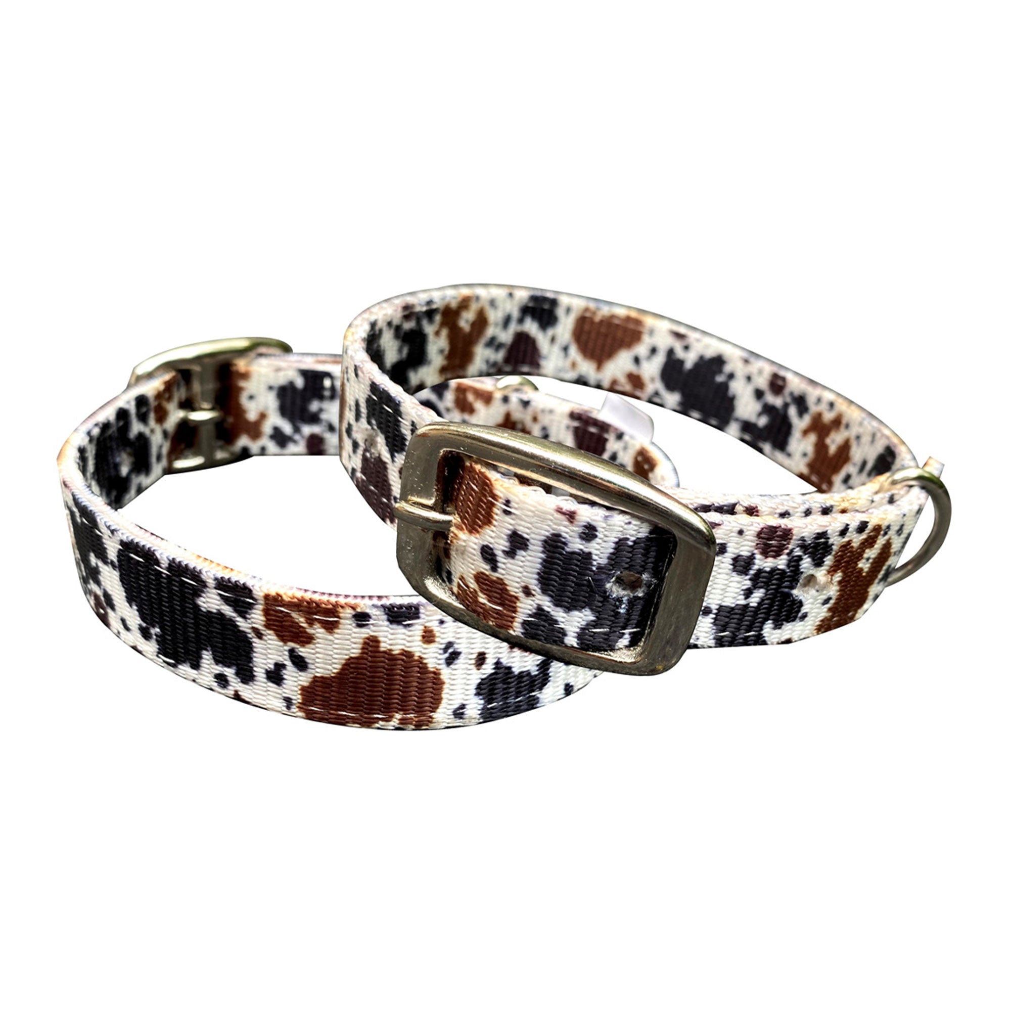 Showman Couture Cow Print Nylon Dog Collar
