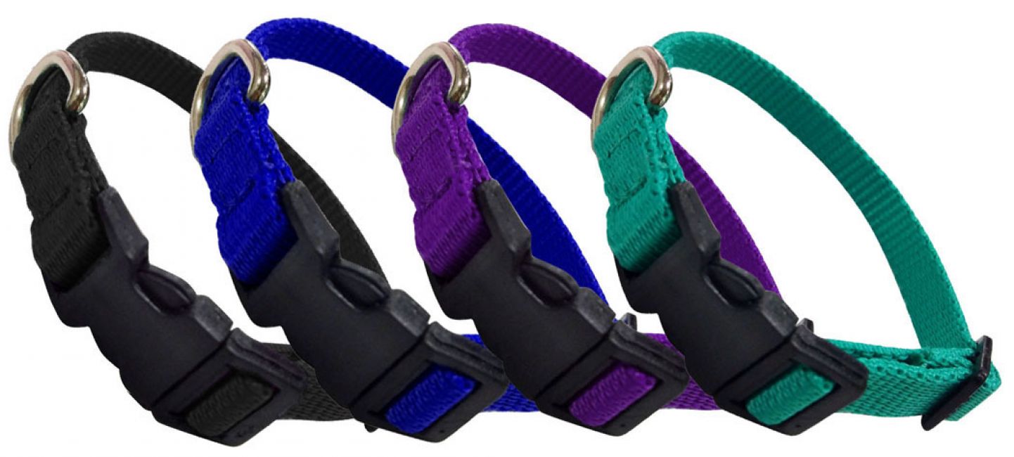 Showman Couture Large Nylon dog collar