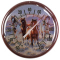Country Side Open Range Metal Thermometer
