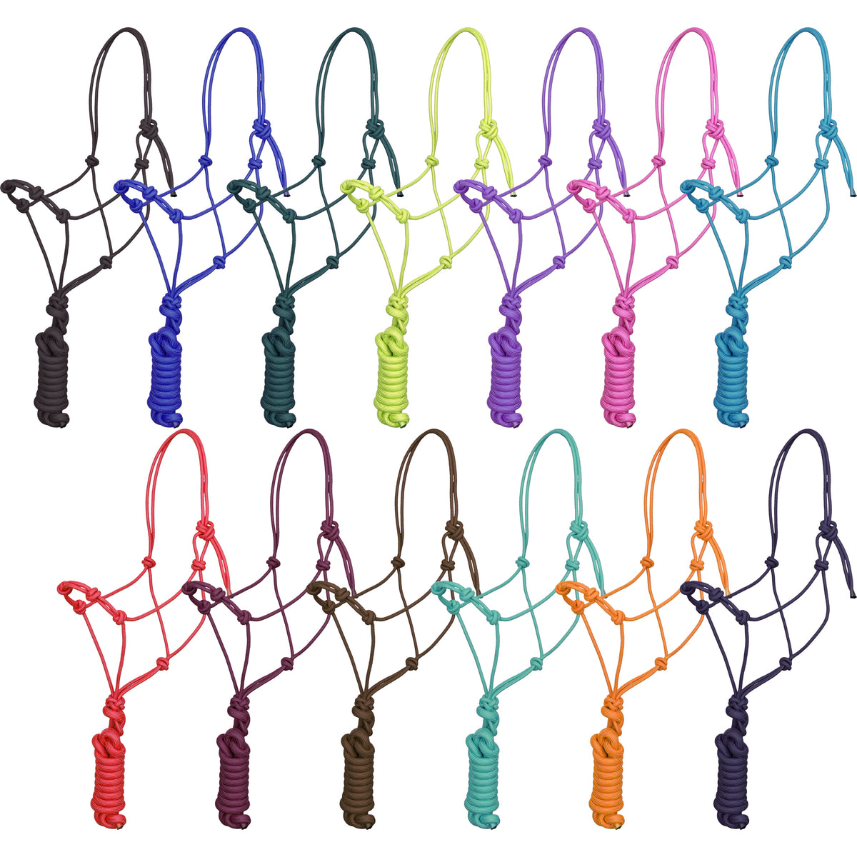 Four Knot Training Cowboy Knot Halter with 10' Removeable Lead