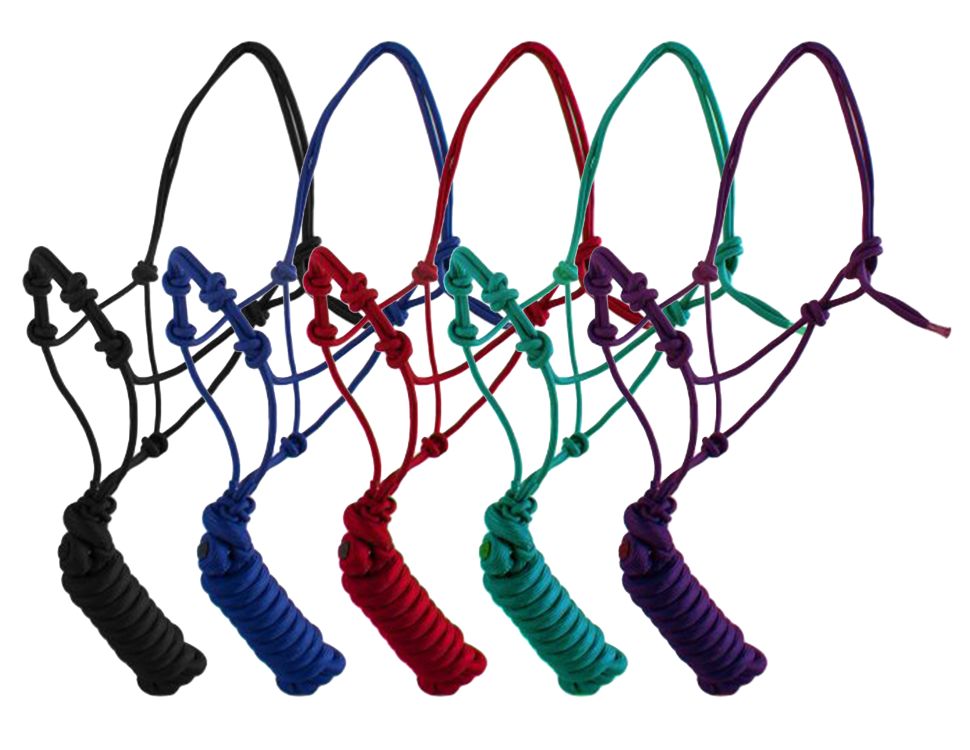Yearling Size Cowboy Knot Halter with Training Knots and Matching 8' Lead