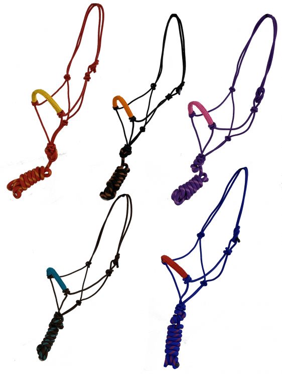 Showman Horse Size cowboy knot halter with matching removable lead in assortment of colors