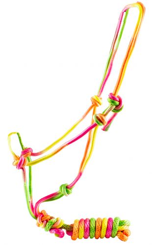 Rainbow colored knotted cowboy knot halter with matching lead