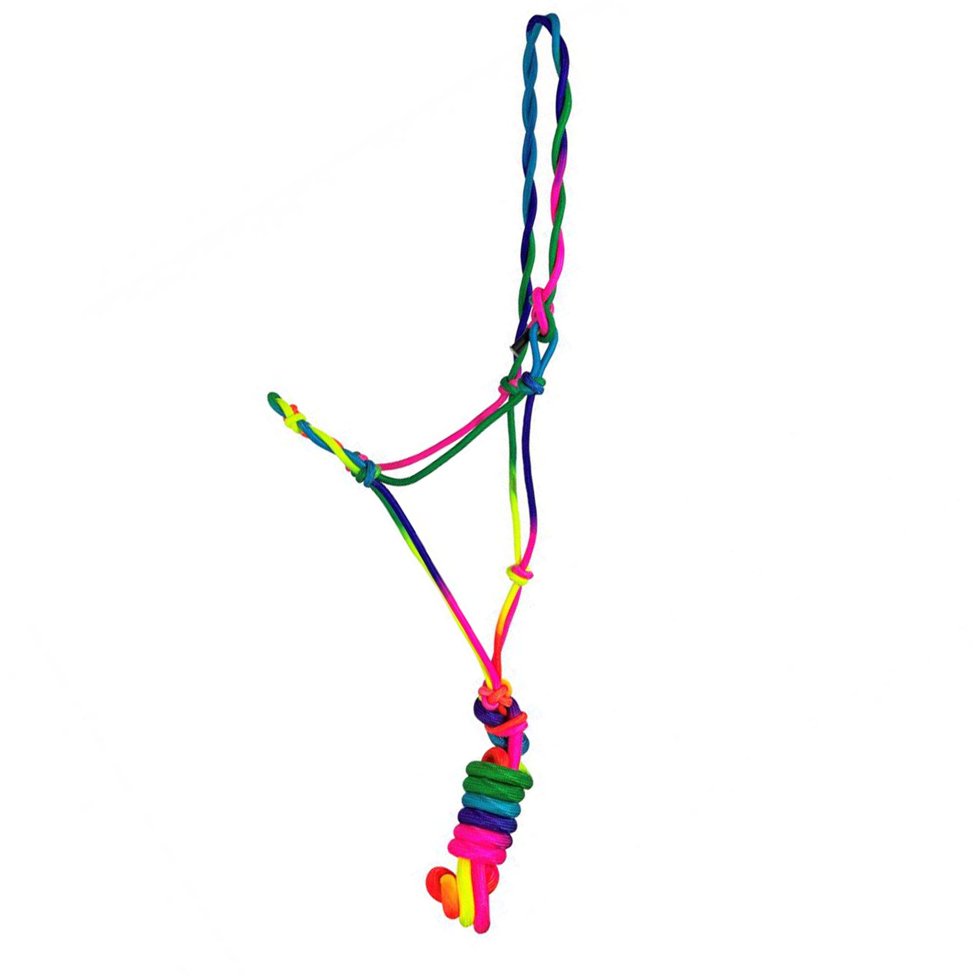 MD/LG Pony Size Ombre Rainbow Cowboy Knot Halter with Lead