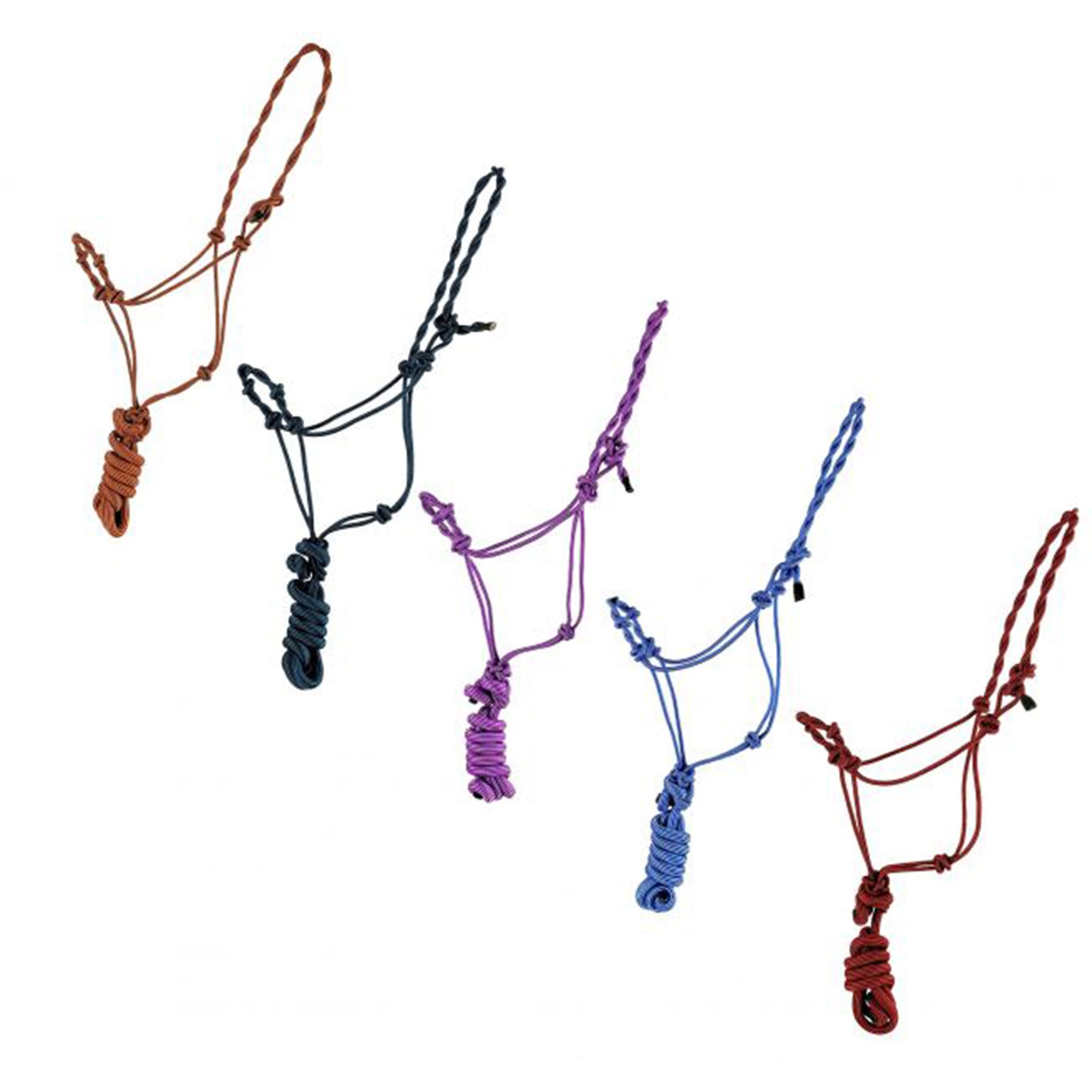 Premium Twisted Cowboy Knot Halter with Removeable Lead