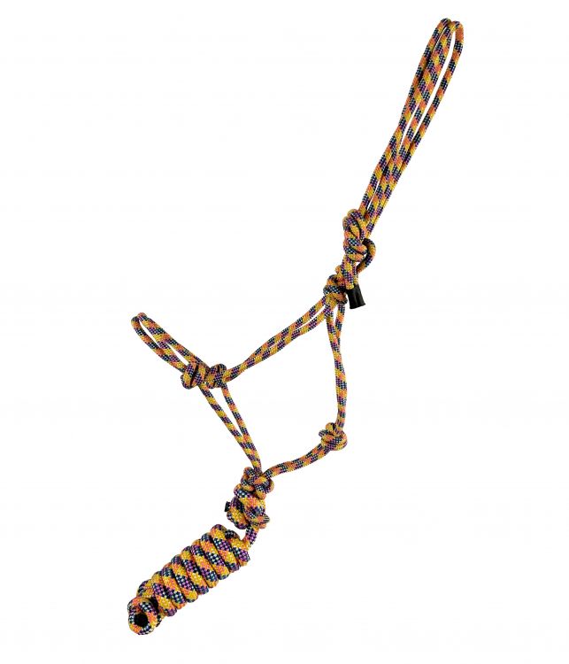 Horse size Yellow and Blue cowboy knot halter with matching removeable lead
