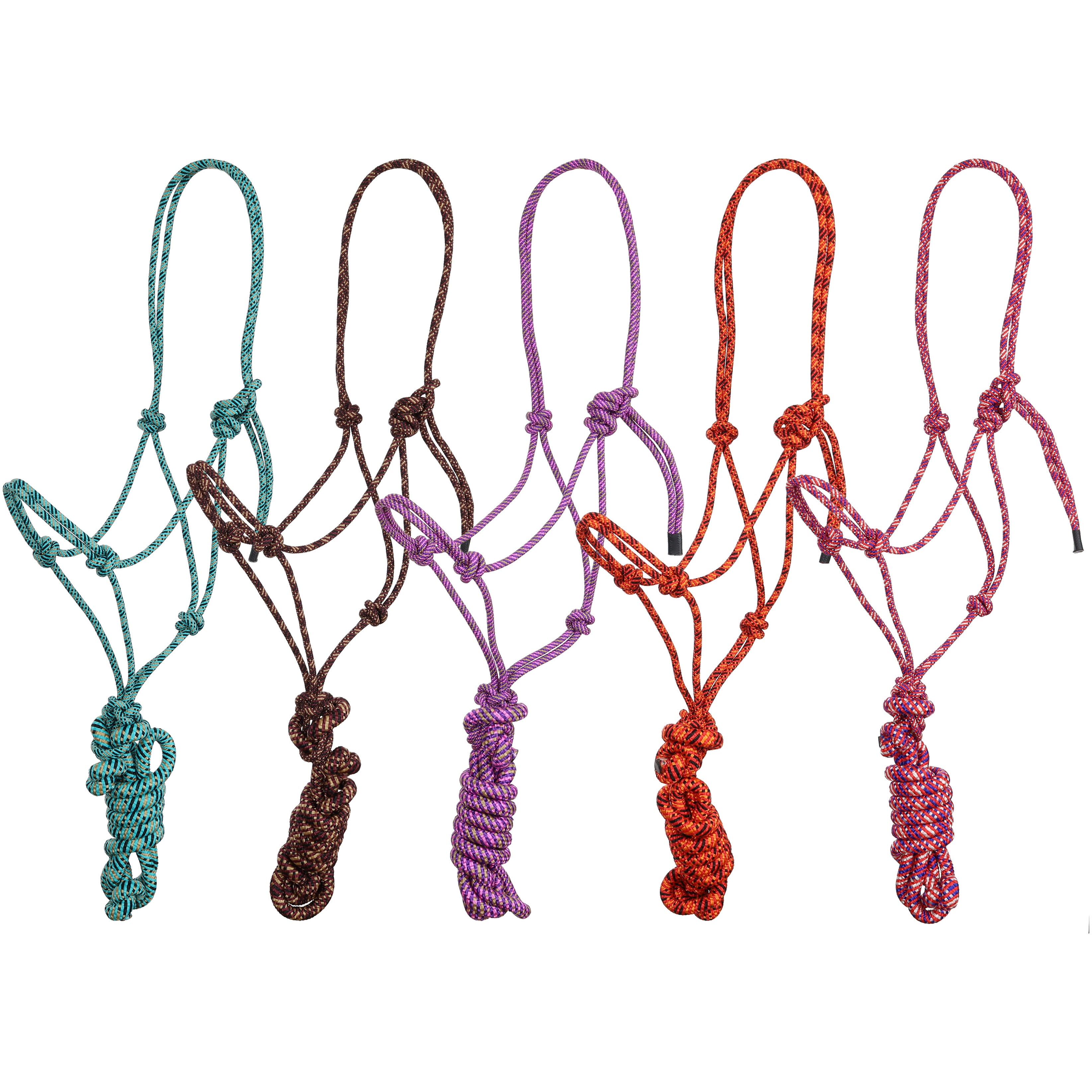 Confetti Cowboy Knot Halter with Lead