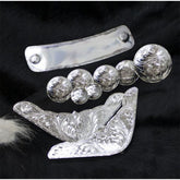 10 piece engraved silver trim kit