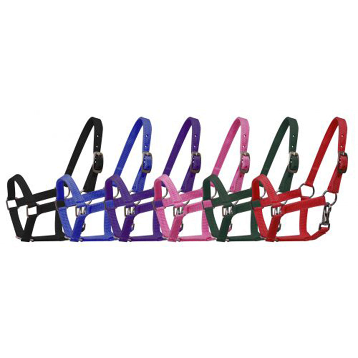 Nylon Halter with Throatlatch Snap - Mini Size