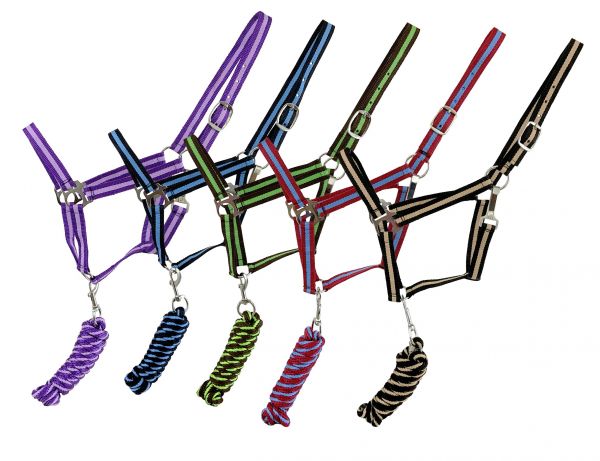 2PLY Two Tone Average Horse Size Halter with Nickel Hardware, with lead