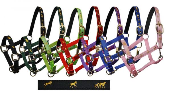 Cob size nylon halter with "running horse" overlay