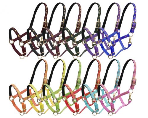 Package of 12 Assorted neoprene lined nylon horse size halters with running horse decal